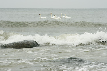 Similar image 1417547