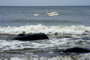 Similar image 1417548