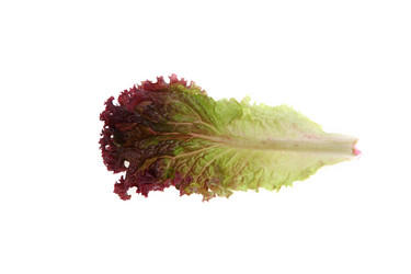 Similar image 1417692