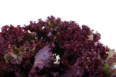 Similar image 1417699