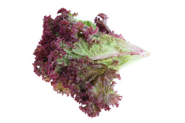 Similar image 1417701