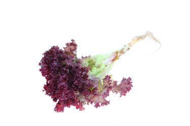 Similar image 1417702