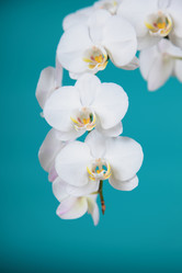 Similar image 1417714