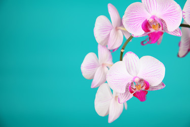 Similar image 1417715