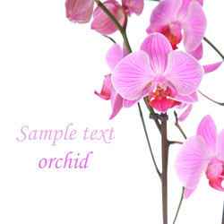 Similar image 1417724