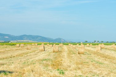 Similar image 1417822