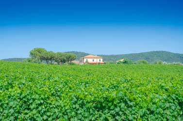 Similar image 1417826