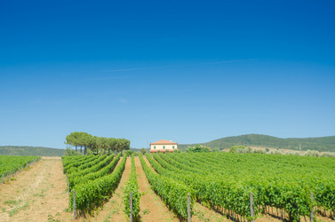 Similar image 1417828