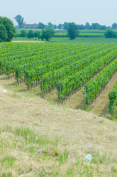 Similar image 1417907