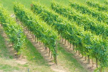 Similar image 1417908