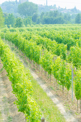 Similar image 1417909