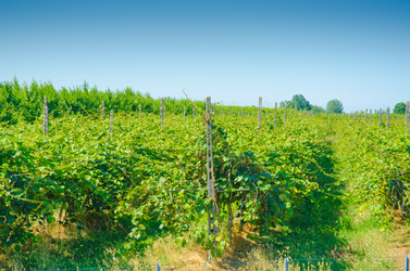 Similar image 1417940