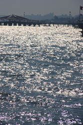 Similar image 1417971