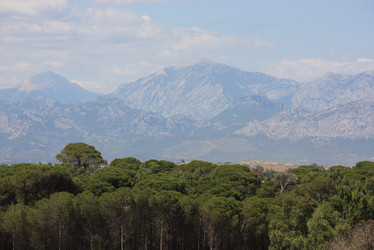 Similar image 1418030