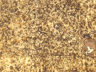 Similar image 1418090