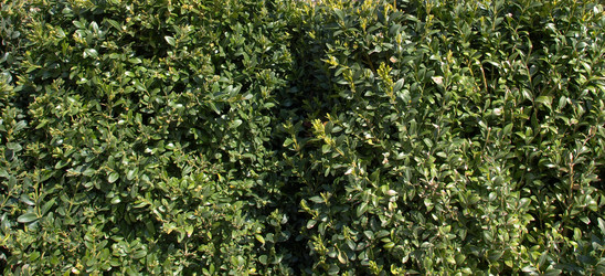 Similar image 1418091