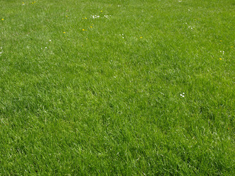 Similar image 1418141