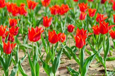 Similar image 1418255