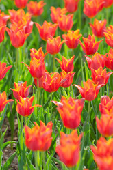 Similar image 1418256