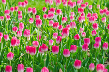 Similar image 1418257