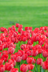 Similar image 1418258