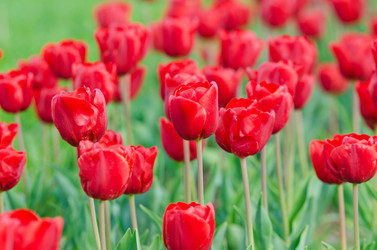 Similar image 1418347