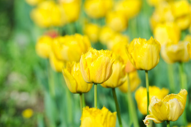 Similar image 1418348