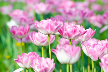 Similar image 1418349