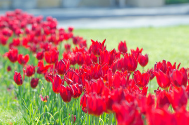 Similar image 1418350