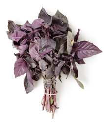 Similar image 1418377