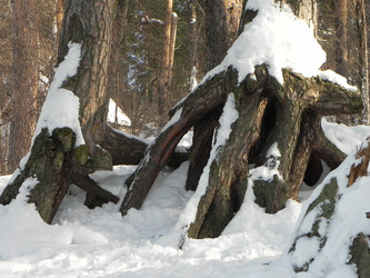 Similar image 1418384