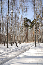 Similar image 1418386