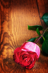 Similar image 1418405