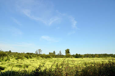 Similar image 1418407