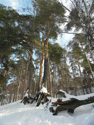 Similar image 1418420