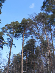 Similar image 1418421