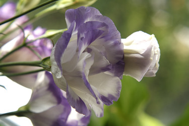 Similar image 1418434