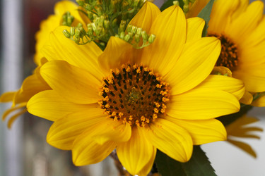 Similar image 1418438