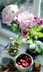 Similar image 1418440