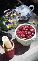 Similar image 1418443