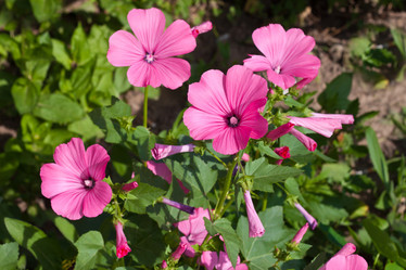 Similar image 1418495