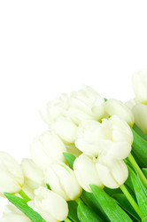 Similar image 1418513