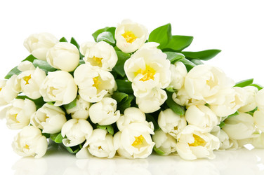 Similar image 1418514