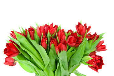 Similar image 1418516