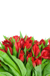 Similar image 1418517