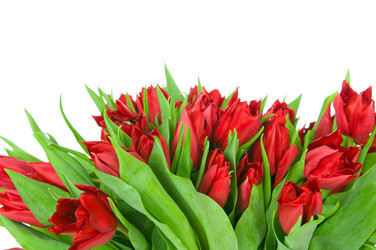 Similar image 1418518