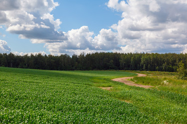 Similar image 1418521