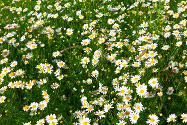 Similar image 1418525