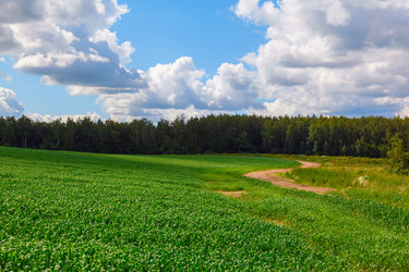 Similar image 1418528