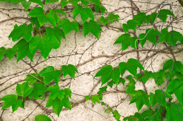 Similar image 1418532